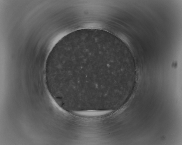 X0000111051087200906251427