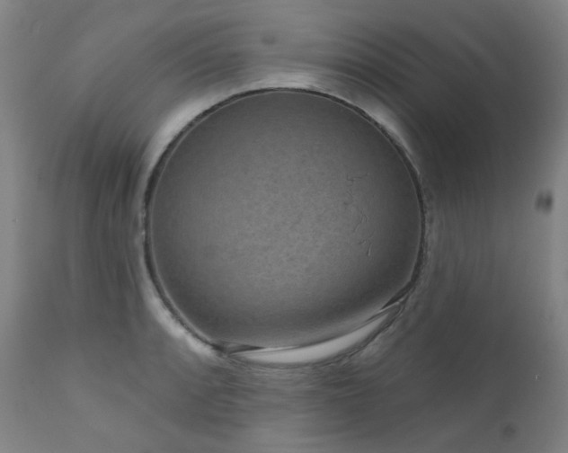 X0000111051088200906251427
