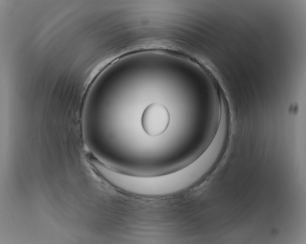 X0000111051089200906251427