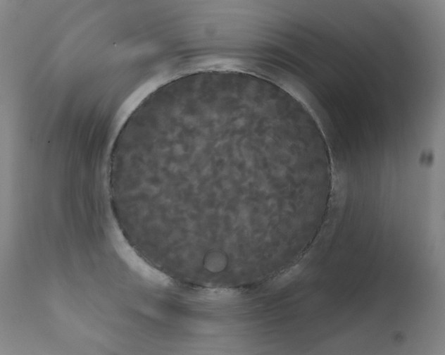 X0000111051090200906251427