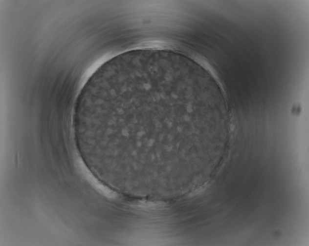 X0000111051091200906251427