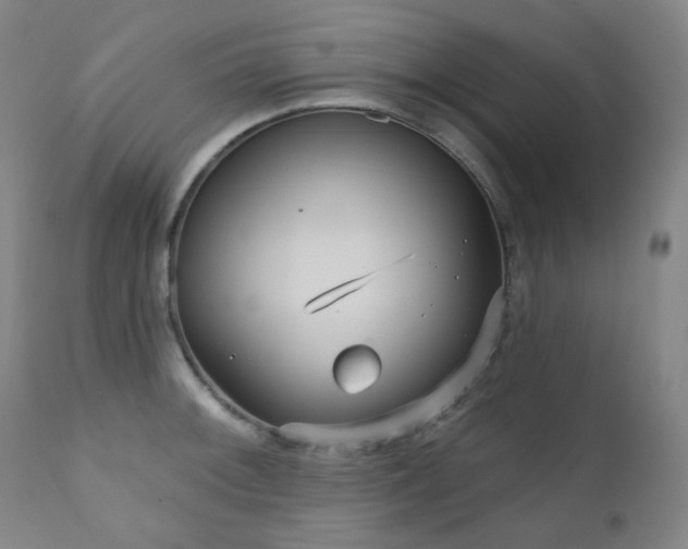 X0000111051092200906251427