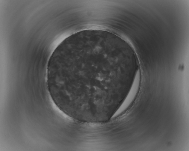 X0000111051095200906251427