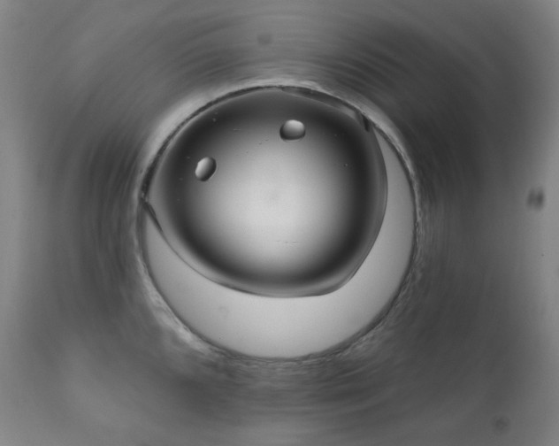 X0000111051096200906251427
