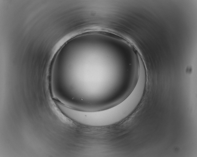 X0000111051098200906251427