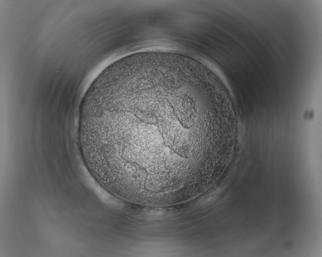 X0000111051099200906251427