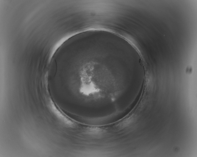 X0000111051100200906251427