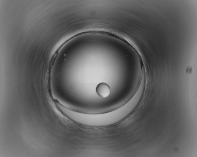 X0000111051101200906251427