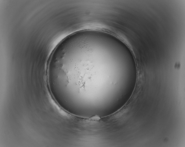 X0000111051103200906251427