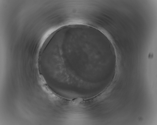 X0000111051104200906251427