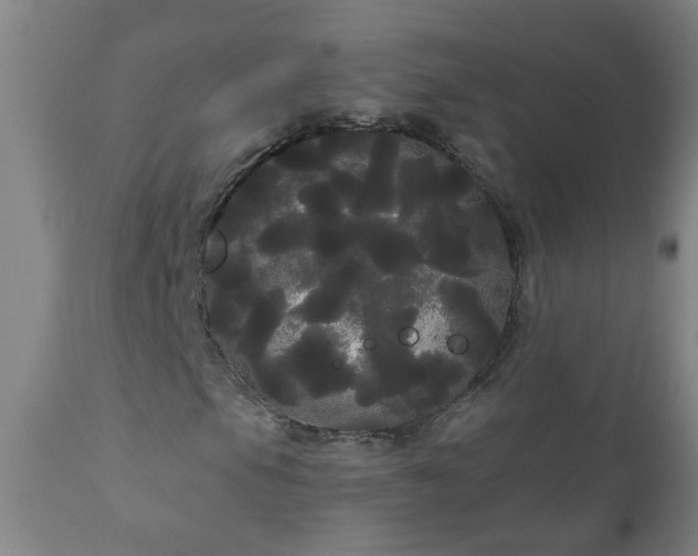 X0000111051105200906251426
