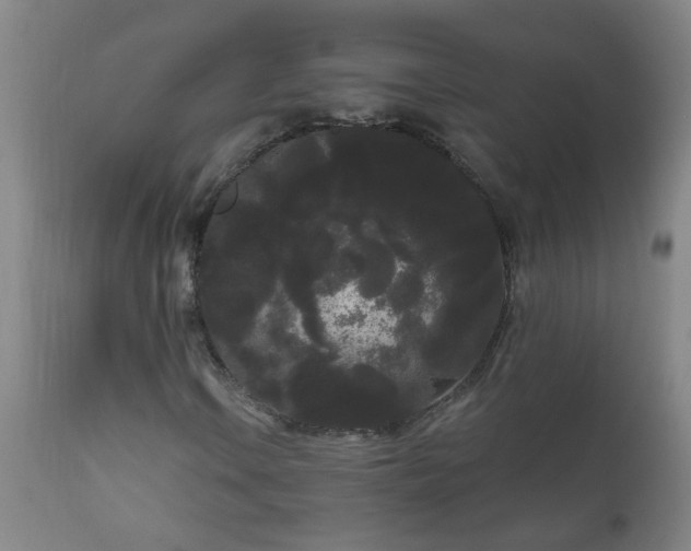 X0000111051106200906251426