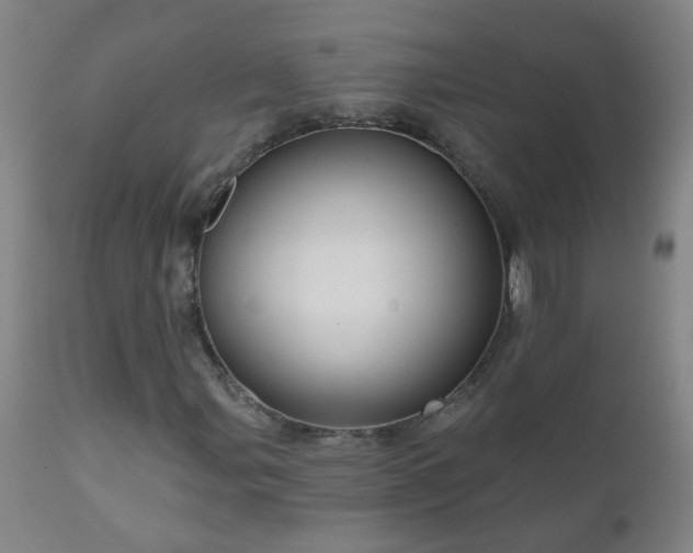 X0000111051107200906251426