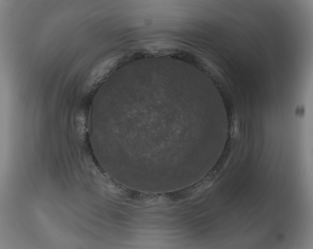 X0000111051108200906251426