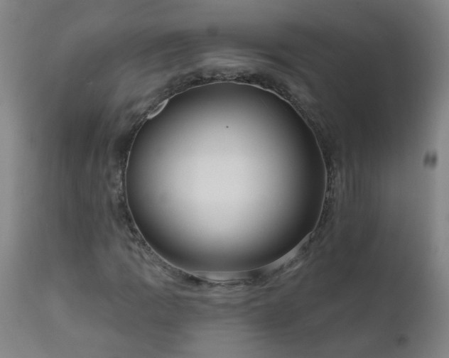 X0000111051109200906251426