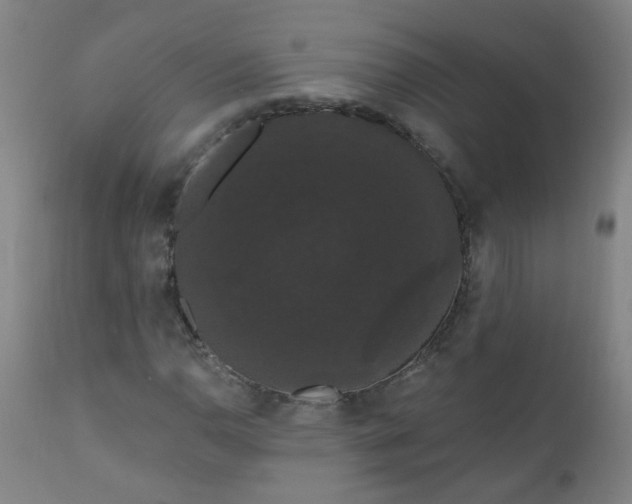 X0000111051110200906251427