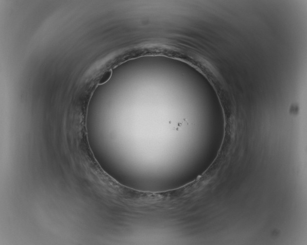 X0000111051111200906251427