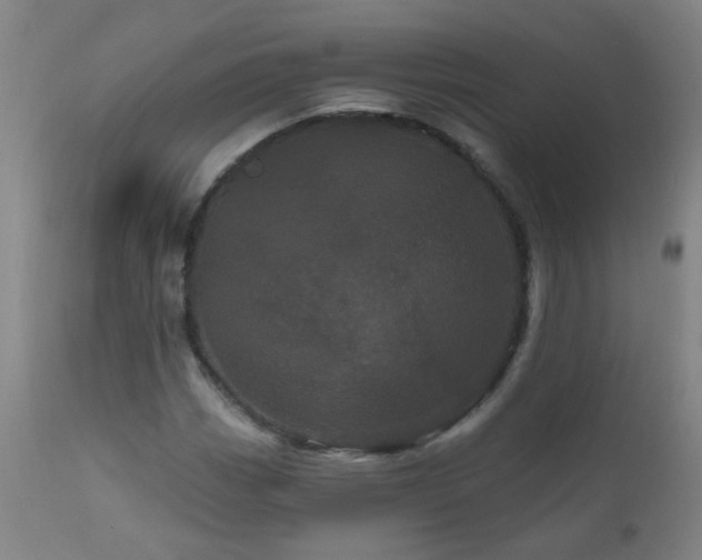 X0000111051113200906251427