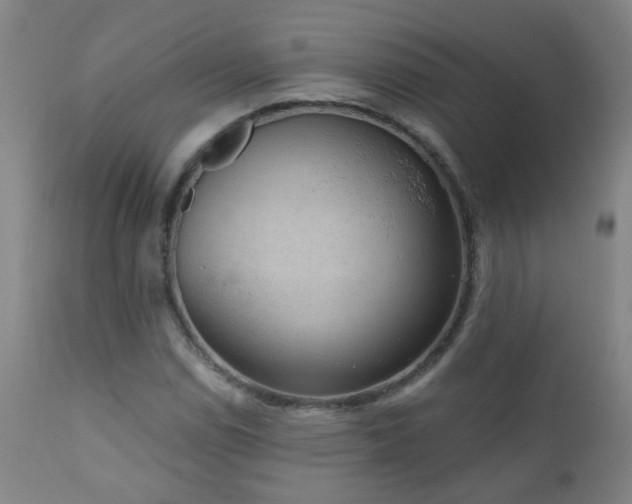 X0000111051114200906251427