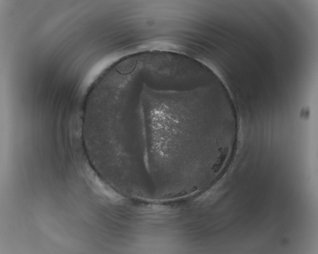 X0000111051115200906251427