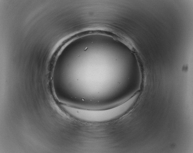 X0000111051116200906251427