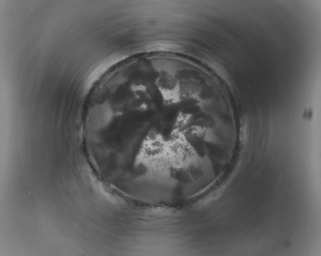 X0000111051117200906251427