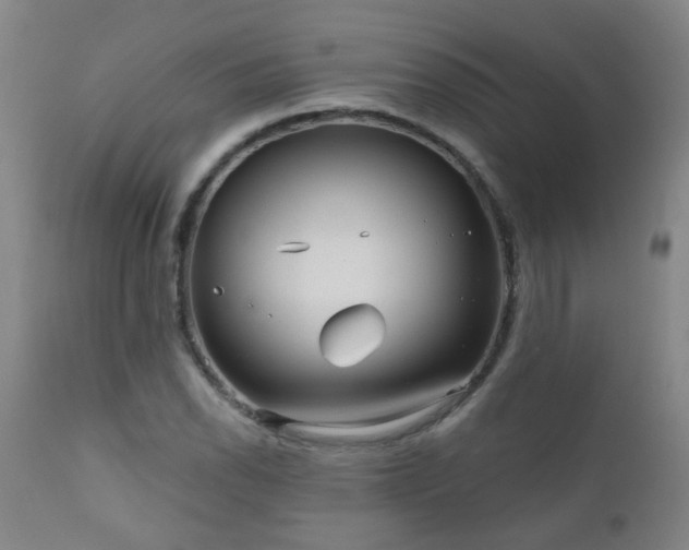 X0000111051118200906251427