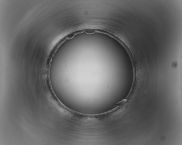 X0000111051119200906251427