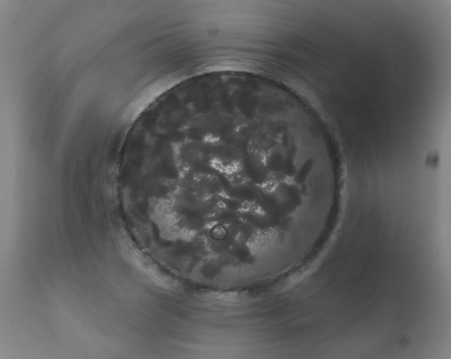 X0000111051121200906251427