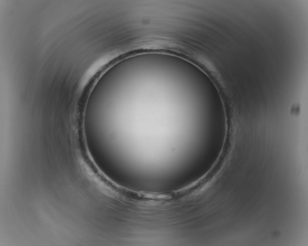 X0000111051122200906251427