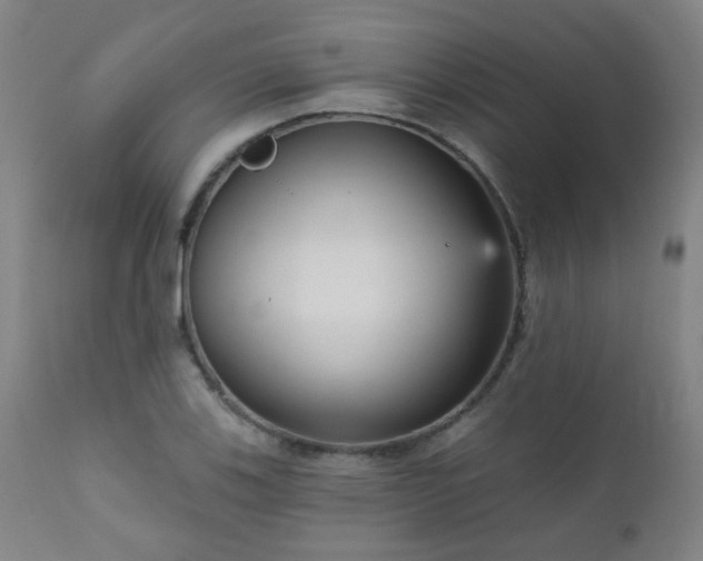 X0000111051123200906251427