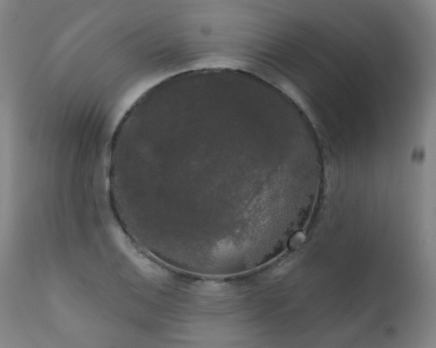 X0000111051124200906251427
