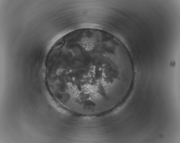 X0000111051125200906251427
