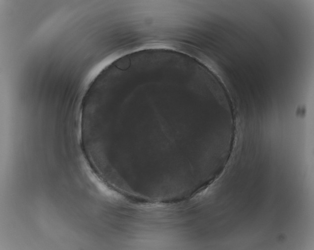 X0000111051127200906251427
