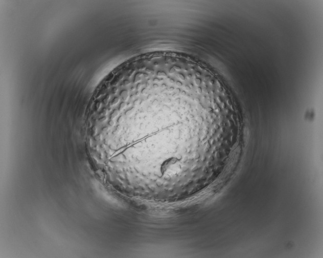 X0000111051129200906251427