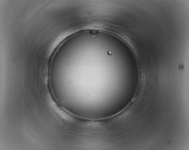 X0000111051131200906251427