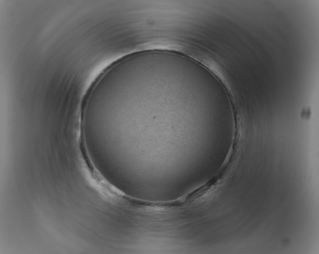 X0000111051132200906251427