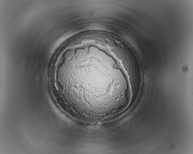 X0000111051133200906251427