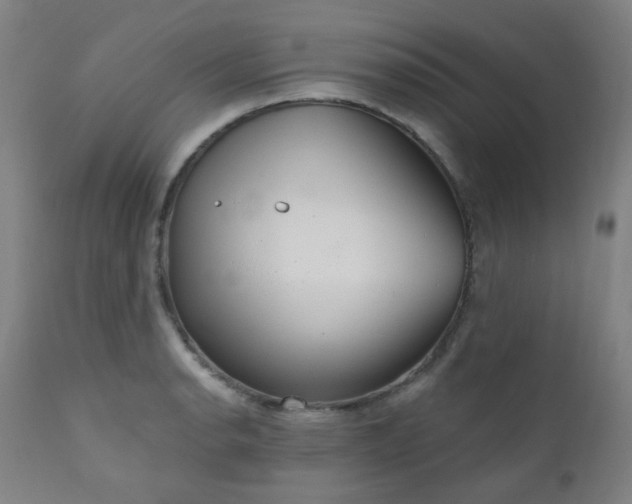X0000111051134200906251427