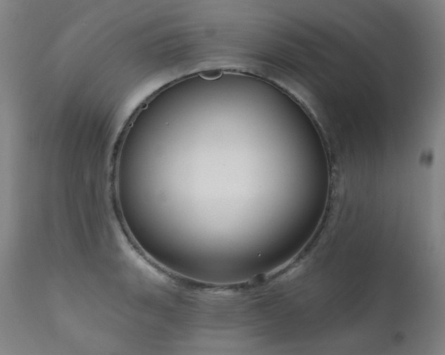 X0000111051135200906251427