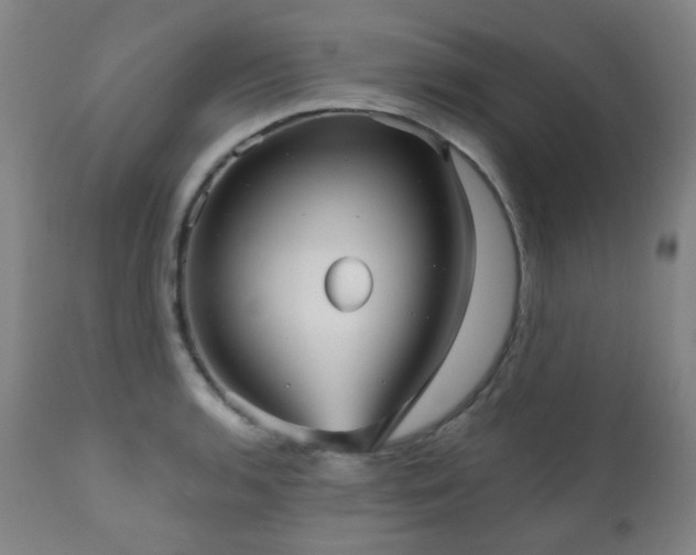X0000111051136200906251427