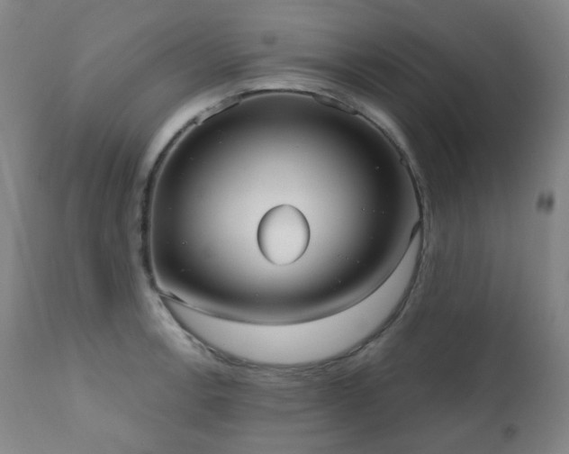 X0000111051138200906251427