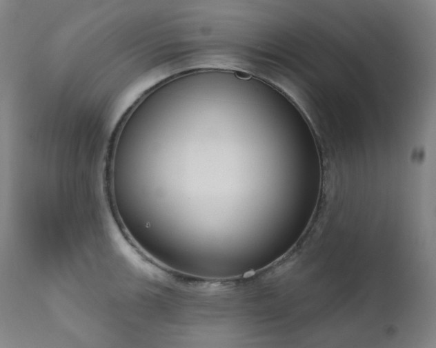X0000111051139200906251427
