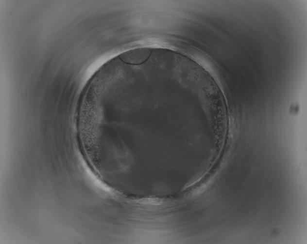 X0000111051141200906251427