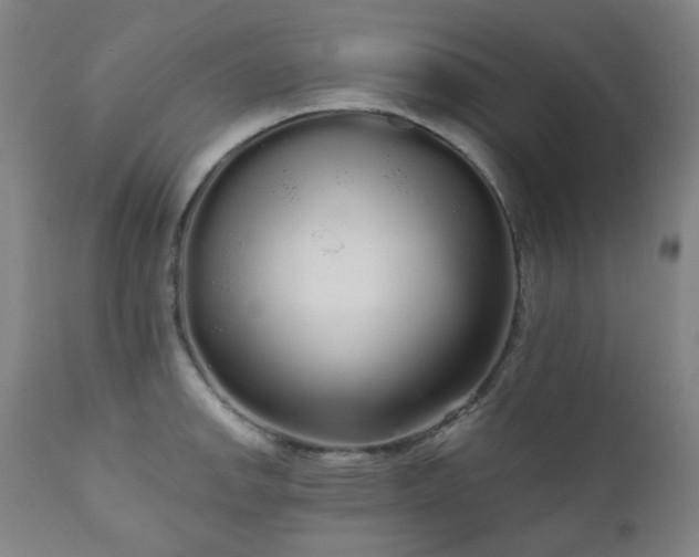 X0000111051142200906251427