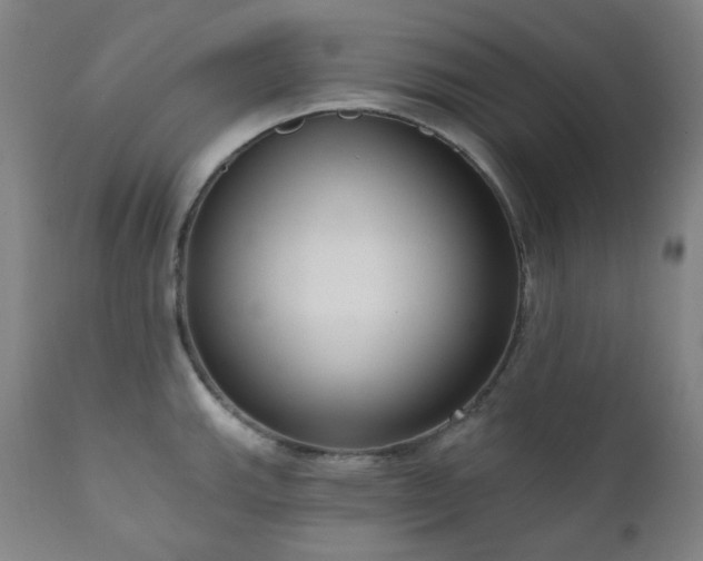 X0000111051143200906251427