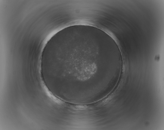 X0000111051144200906251427
