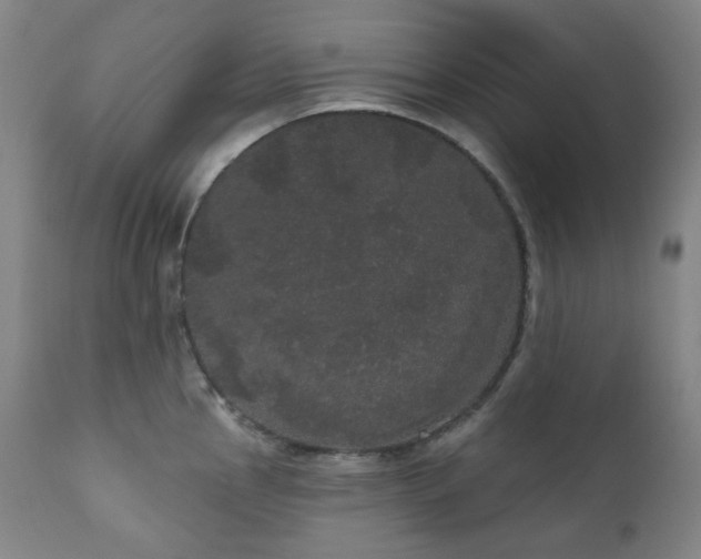X0000111051145200906251427