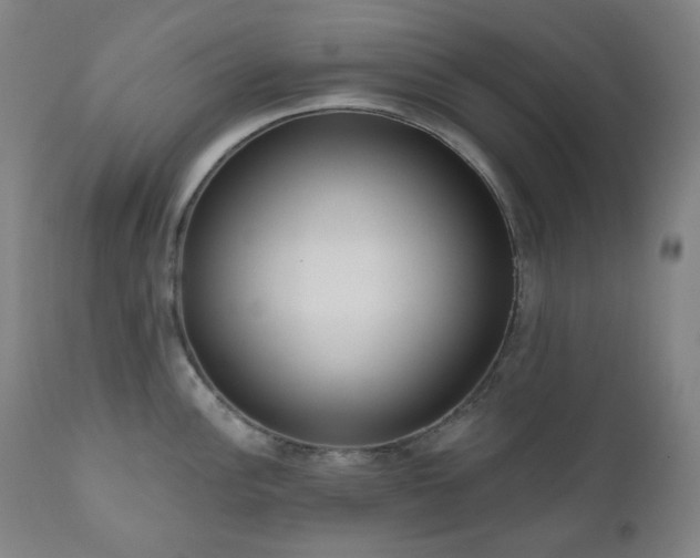 X0000111051148200906251427