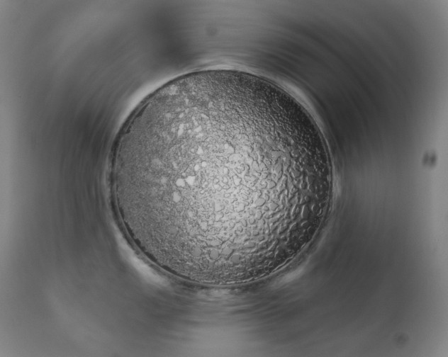 X0000111051149200906251427
